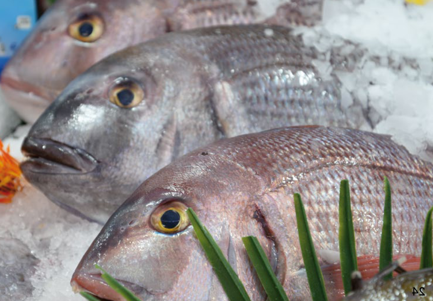 Screenshot 2024-04-27 at 02-01-58 plaquette_web_print_OK - catalogue.pdf