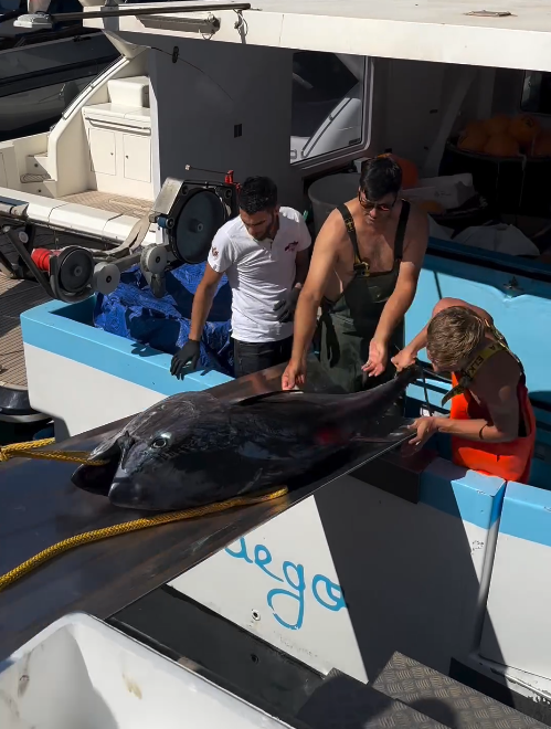 poissonnerie-uluvassu-7