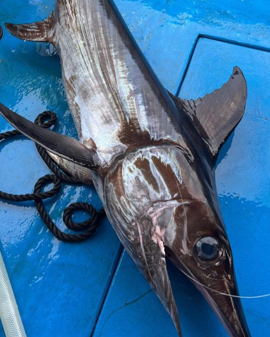 Eric Rinaldi espadon